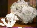 Sedimentary Rocks - Lesson 7 - Part 6 of 6 Sedimentary Rocks - Lesson 7 - Part 6 of 6