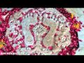 Vadtal Darshan Prasadi ni Chatri