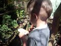 MORGAN REGANDO BONSAI.AVI