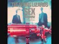 THE FLYING LIZARDS B1 Flesh And Steel (Extended Version)