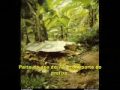 parte 3 de 3   acidente vasp168   pacatuba   ceara   1982