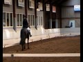 Friesian Horse Dressage with Jolanda Schreuder