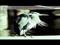 bitoml xLilFranchx ackcans swtnss464 BaybeeurlAmii buttuy a.mov