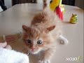 sweet friends
