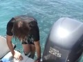 Snorkeling - Florida Keys