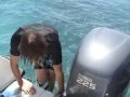 Snorkeling - Florida Keys