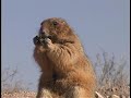 The Nature Conservancy - Wyoming Grasslands