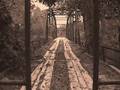 Music-Rock-Mecklenburg County