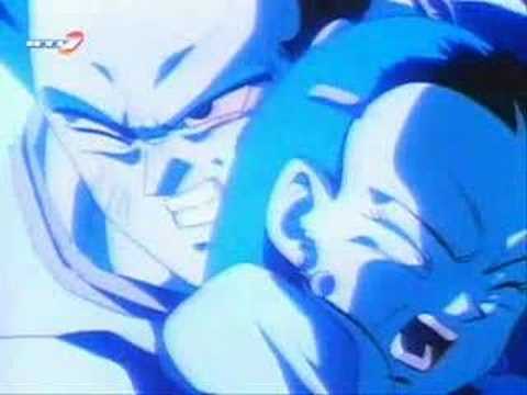 li shenron