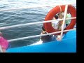 videos mazatlan2