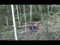 Maine Black Bear Hunt Maine Black Bear Hunt