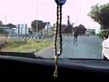 Horse Race