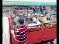 sewa lori angkat kotak sma asing