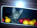 noel inside pool table! noel inside pool table!