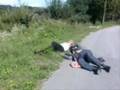 alkohol.......vocinci...voća....2. dio