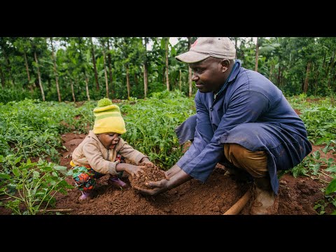 Achieving Food Security in Africa with Healthier Soil