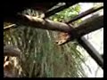 ltte srilanka