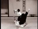 Christian Martial Arts - Yeshua-Do: Kanai Sensei's Legacy-2