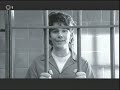 Mad TV - Free Credit Card