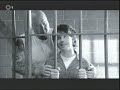 Mad TV - Free Credit Card