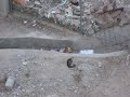 YouTubeサムネイル[MuLYiEApRKk] - 1枚目