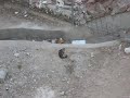 YouTubeサムネイル[MuLYiEApRKk] - 3枚目