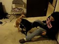 Two dogs humping Veronica Two dogs humping Veronica
