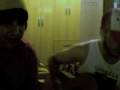 videos de MeTAL MonDS MIlK SHaKE