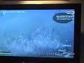 E3 2006 - PS3 - Bladestorm Trailer E3 2006 - PS3 - Bladestorm Trailer