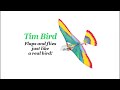 Tim Bird