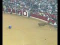 pilares,plaza de toros de zgz