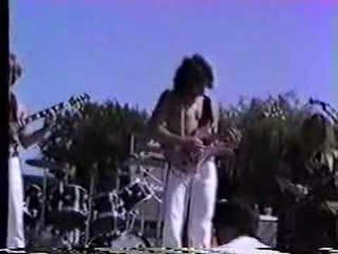 Crystal Palace Great White Buffalo ...