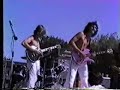 Crystal Palace Great White Buffalo Ted Nugent