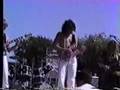 Crystal Palace Great White Buffalo Ted Nugent