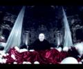 videos de El arte del bajo Carlo Colombara - La calunnia