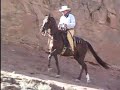 Cowboy Dressage | Dances With Cows