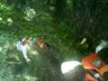 videos de ALOUSDE MOTO 181008 PICHEL