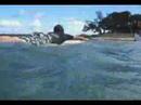 Surfaris - The Race '04