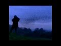 Starling Magic