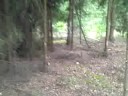 Pit Bike 125ccm neuer Streckenabschnitt