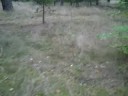 Pit Bike 125ccm neuer Streckenabschnitt