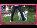 videos de How to teach: Weaving Though Legs