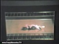 Glow In The Dark Shrinky Dinks (Commercial, 1979)