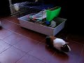 Ele y Eme en la terraza Ele y Eme en la terraza