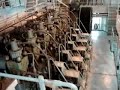 Engine room mv Nassauborg
