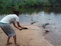 Green Ambassador Caiman experience