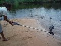 Green Ambassador Caiman experience