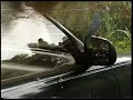 Birdshot (The Ballad of Birds Pooping on my Car)