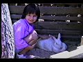 ErynnEasterBunny.wmv