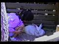 videos de ErynnEasterBunny.wmv